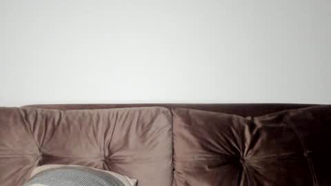 o_r_b_i_t online show from 31, 1, 2025