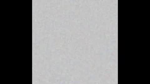 Obsidian stallion online show from 12, 1, 2026