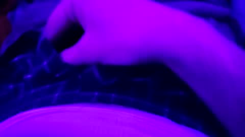 Snapshot of octorok1 chatting on 1, 1, 2025 octorok1 online show from 1, 1, 2025