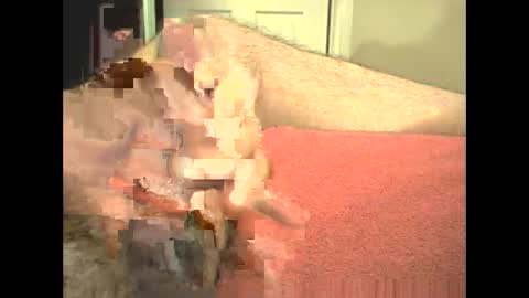 odinswarrior online show from 28, 2, 2026