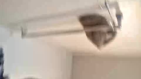 odz9ind online show from 5, 2, 2026