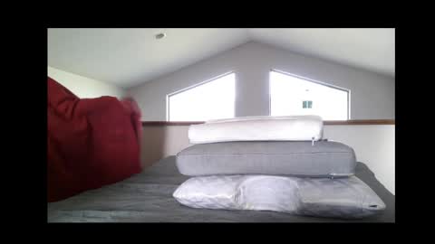 Official kiwi 22 online show from 27, 3, 2026