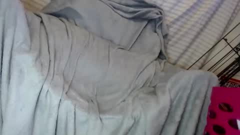 OGDigBick online show from 1, 2, 2025