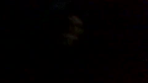 olivertwist1273 online show from 20, 1, 2025