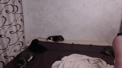 Snapshot of olivia_redd chatting on 15, 5, 2026 Olivia online show from 15, 5, 2026