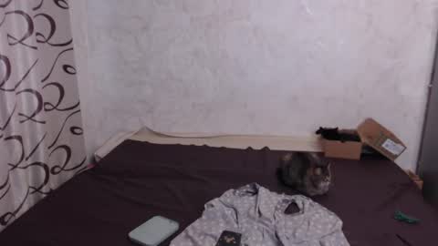 Snapshot of olivia_redd chatting on 31, 5, 2026 Olivia online show from 31, 5, 2026