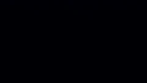 habibi   online show from 2, 3, 2025