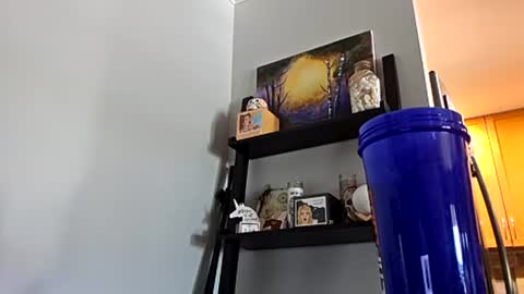 Snapshot of omgitsdon chatting on 28, 7, 2026 M4STERD0N - SC online show from 28, 7, 2026