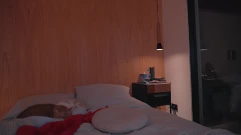 Snapshot of onelittlemermaid chatting on 27, 12, 2024 Ariel online show from 27, 12, 2024