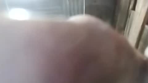 1760fourtwo86681 online show from 28, 2, 2026