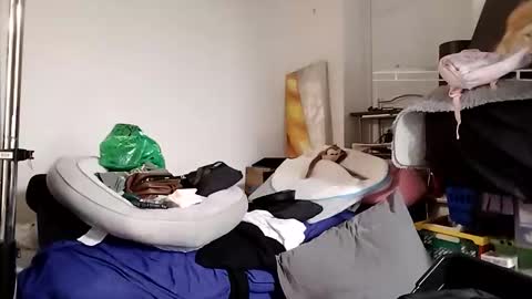 Snapshot of opalockajoe chatting on 1, 12, 2025 TsJojo online show from 1, 12, 2025