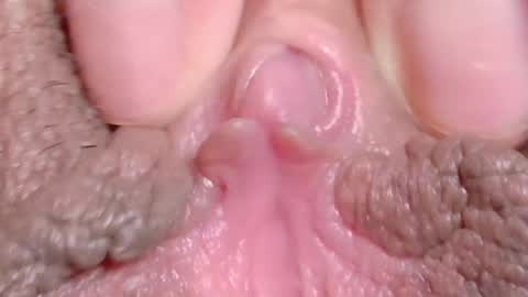 orchidekitty online show from 10, 4, 2026