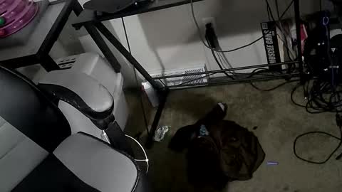 orgasmgiver9090 online show from 20, 3, 2026