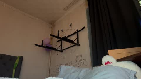 origamicat online show from 15, 1, 2026