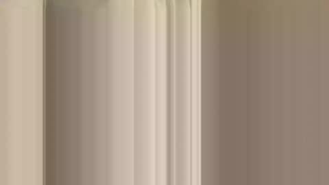 rossignol online show from 14, 12, 2024