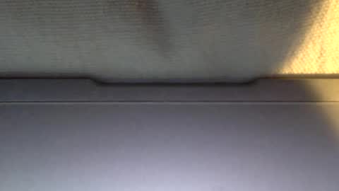 Otto online show from 21, 1, 2025