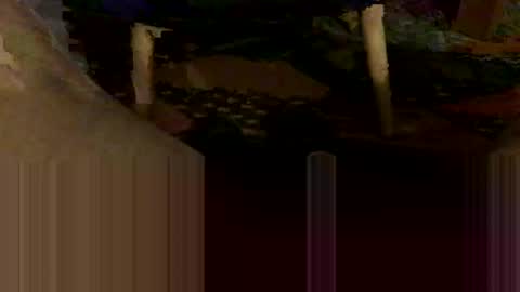 Oxo online show from 31, 10, 2025