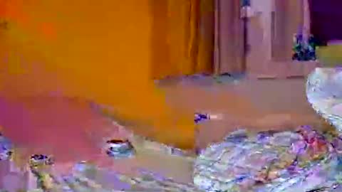 Snapshot of pachoxx9 chatting on 1, 2, 2025 Pachoxx9 online show from 1, 2, 2025