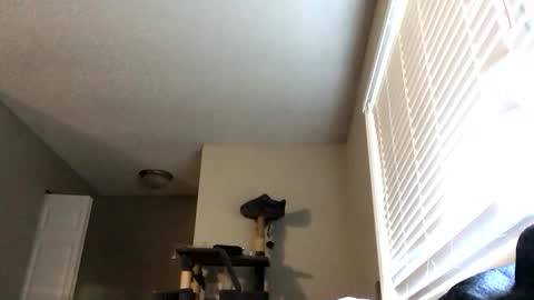 Snapshot of paigechantel chatting on 19, 2, 2026 paigechantel online show from 19, 2, 2026