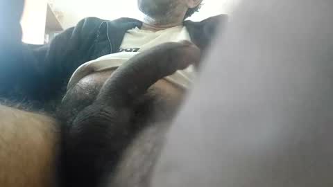 palatco online show from 21, 12, 2024