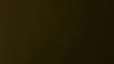 palerider269 online show from 19, 11, 2025