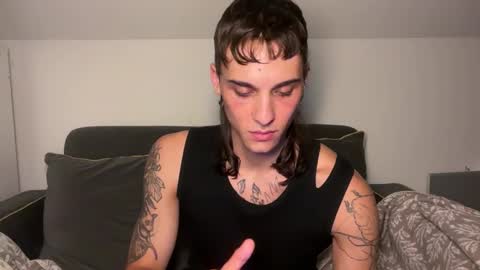 Snapshot of palm1stry chatting on 1, 11, 2025 Ayden online show from 1, 11, 2025