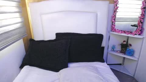 Snapshot of palmer_mix chatting on 11, 1, 2025 Palmer online show from 11, 1, 2025