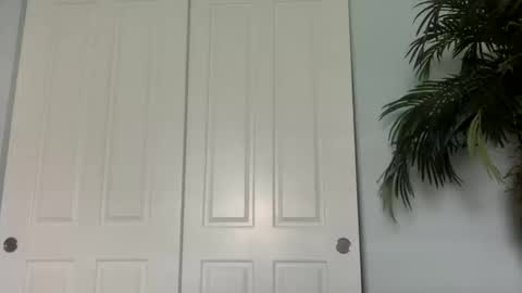 palmflacco online show from 11, 10, 2025