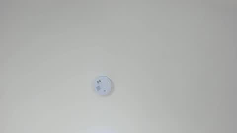 PAMELA online show from 23, 10, 2025