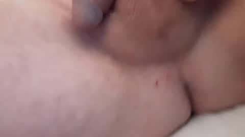 panda320 online show from 31, 1, 2025