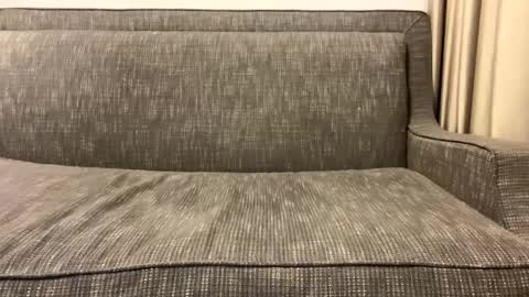 Oleg online show from 11, 2, 2025