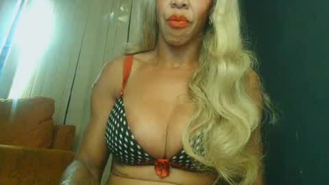 PAOLLA 23CM online show from 1, 7, 2026