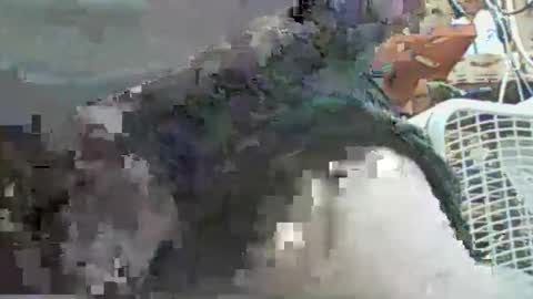 Snapshot of papajb70 chatting on 29, 9, 2025 papajb70 online show from 29, 9, 2025