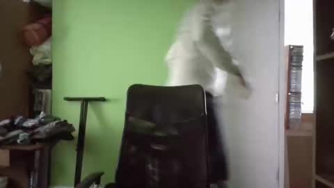 Papito online show from 11, 3, 2025