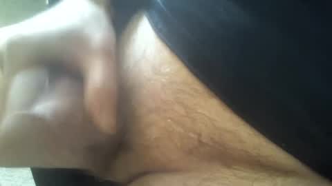 Shmoo online show from 7, 2, 2025