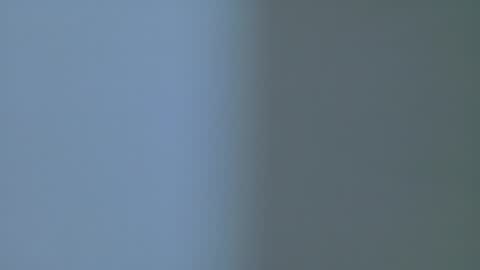 PARIS online show from 14, 2, 2026