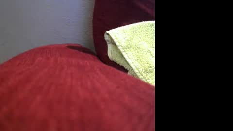 Snapshot of partofme83 chatting on 7, 11, 2025 partofme83 online show from 7, 11, 2025