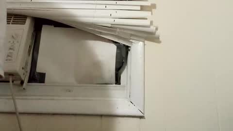 Snapshot of pato0008 chatting on 17, 12, 2024 JD online show from 17, 12, 2024