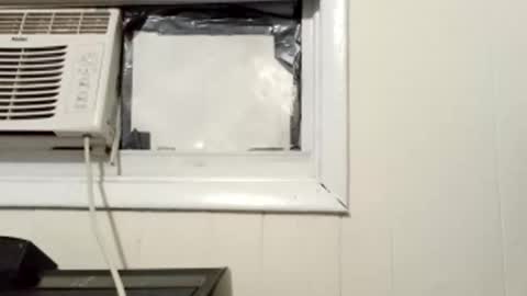 Snapshot of pato0008 chatting on 1, 3, 2025 JD online show from 1, 3, 2025