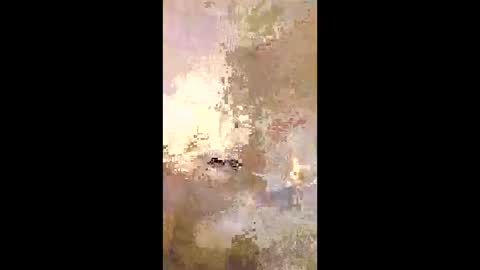 patrickalan2 online show from 14, 12, 2025