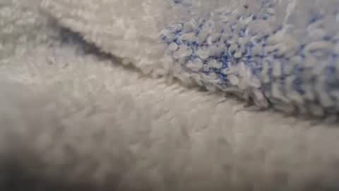 Patty online show from 2, 3, 2026