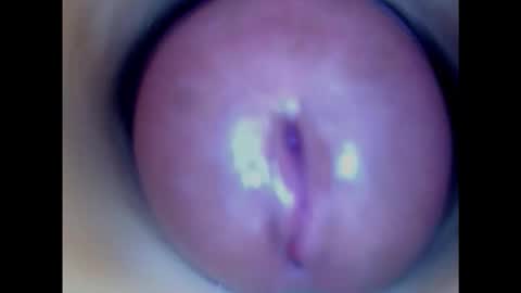 Snapshot of paulainoscente chatting on 29, 1, 2025 Paula 18 Aninhos online show from 29, 1, 2025