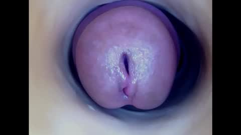 Snapshot of paulainoscente chatting on 30, 1, 2025 Paula 18 Aninhos online show from 30, 1, 2025