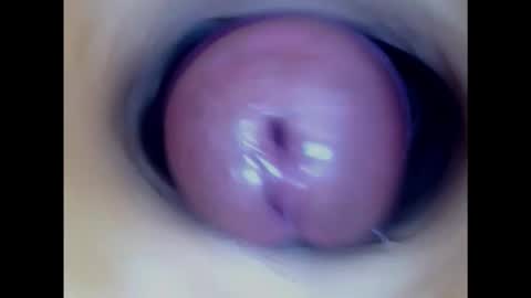 Snapshot of paulainoscente chatting on 31, 1, 2025 Paula 18 Aninhos online show from 31, 1, 2025