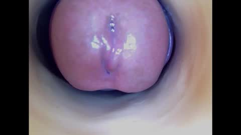 Snapshot of paulainoscente chatting on 31, 1, 2025 Paula 18 Aninhos online show from 31, 1, 2025