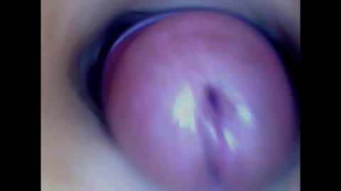 Snapshot of paulainoscente chatting on 1, 2, 2025 Paula 18 Aninhos online show from 1, 2, 2025