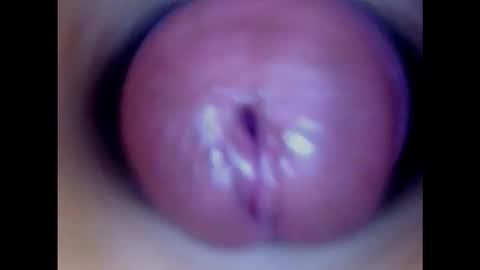 Snapshot of paulainoscente chatting on 2, 2, 2025 Paula 18 Aninhos online show from 2, 2, 2025