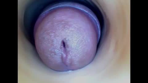 Snapshot of paulainoscente chatting on 3, 2, 2025 Paula 18 Aninhos online show from 3, 2, 2025