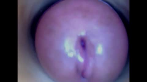 Snapshot of paulainoscente chatting on 4, 2, 2025 Paula 18 Aninhos online show from 4, 2, 2025