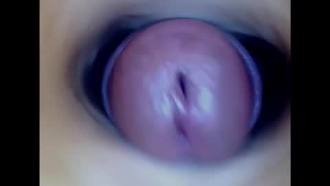 Snapshot of paulainoscente chatting on 5, 2, 2025 Paula 18 Aninhos online show from 5, 2, 2025